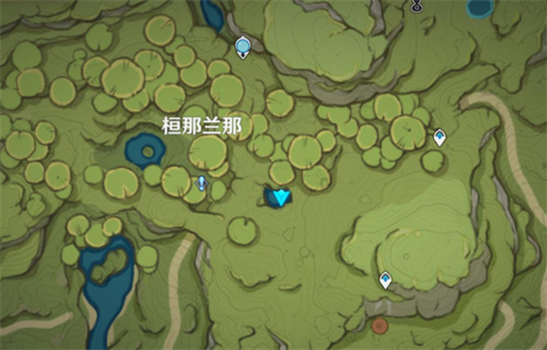 原神树王圣体菇在哪买