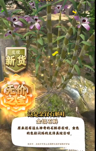夺笋高手金钗石斛怎么获得