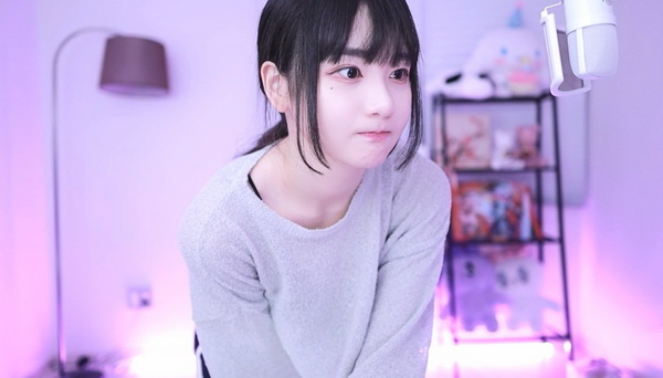 kdbacc小蝌蚪新版本的特点