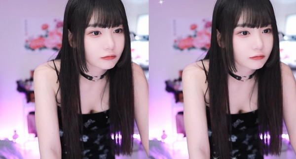 晨钟暮鼓森林秘境三部曲资源