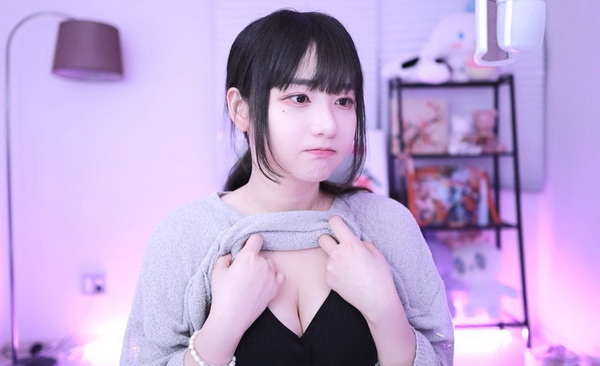 vicineko史莱姆大战系列在哪里看