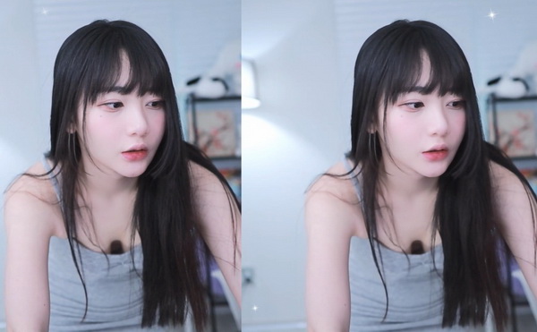 机机对机机手机免费下载免费