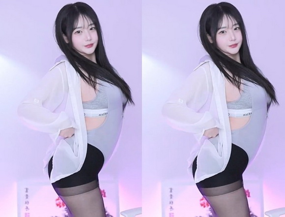 铿锵锵锵锵免费观看网页版