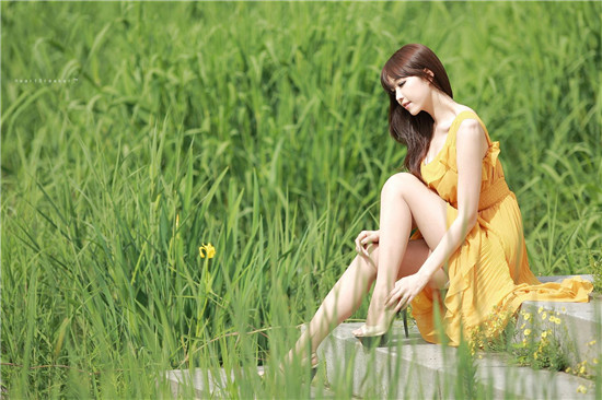 ݮ˿̾˺ڿƼ޿:ݮ˿տҸ̾޹ۿ